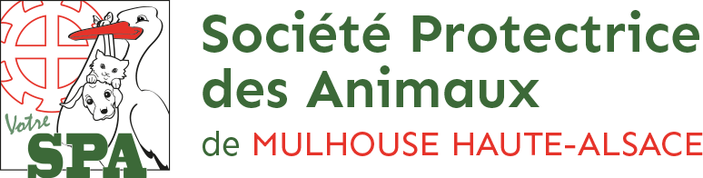 logo_SPA